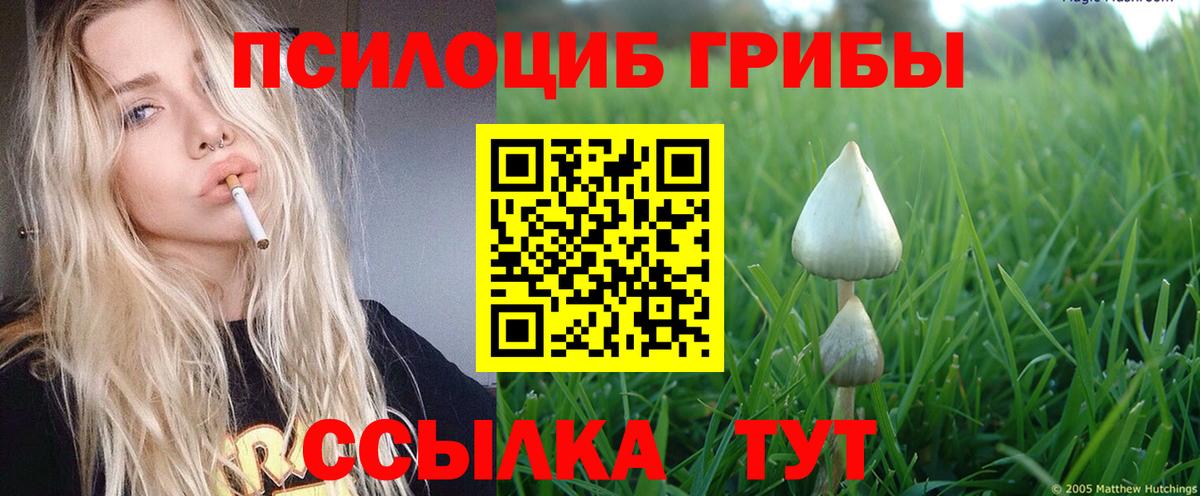 Псилоцибиновые грибы Cubensis  Галлюциногенные грибы Cubensis  Дербент  купить  цена  Вход с VPN 