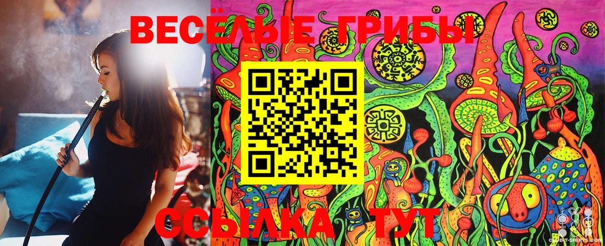 Галлюциногенные грибы Cubensis Дербент