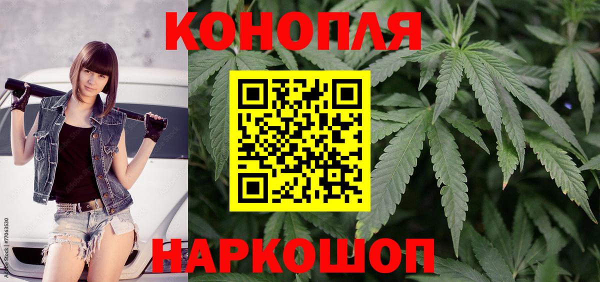 Марихуана гибрид Дербент